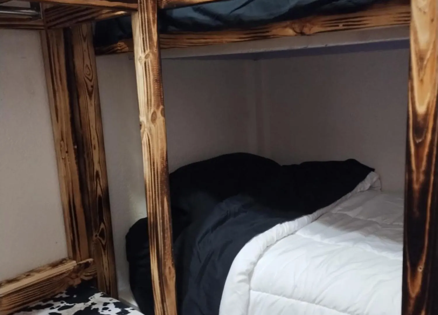 Palm Villa Hostel Tampa United States