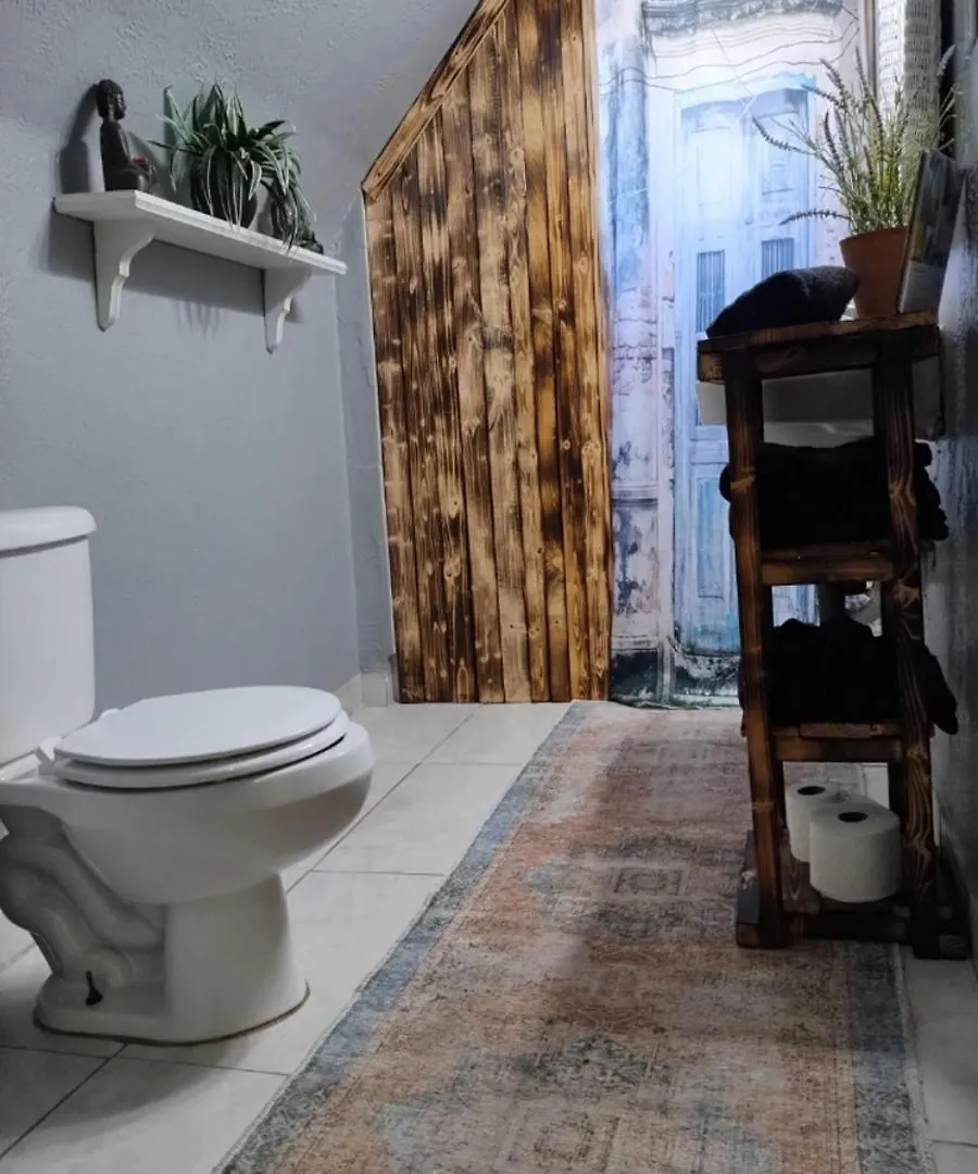 Πανσιόν Palm Villa Hostel Τάμπα