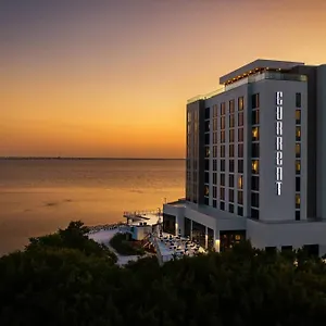 Hotel The Current Hotel, Autograph Collection, Tampa