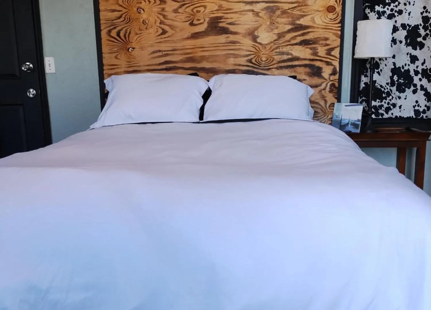 Palm Villa Hostel Tampa Guest house